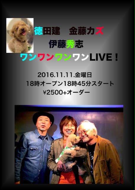 11月11日(金曜日)徳田建 金藤カズ 伊藤秀志 ワンワンワンワンLIVE!
